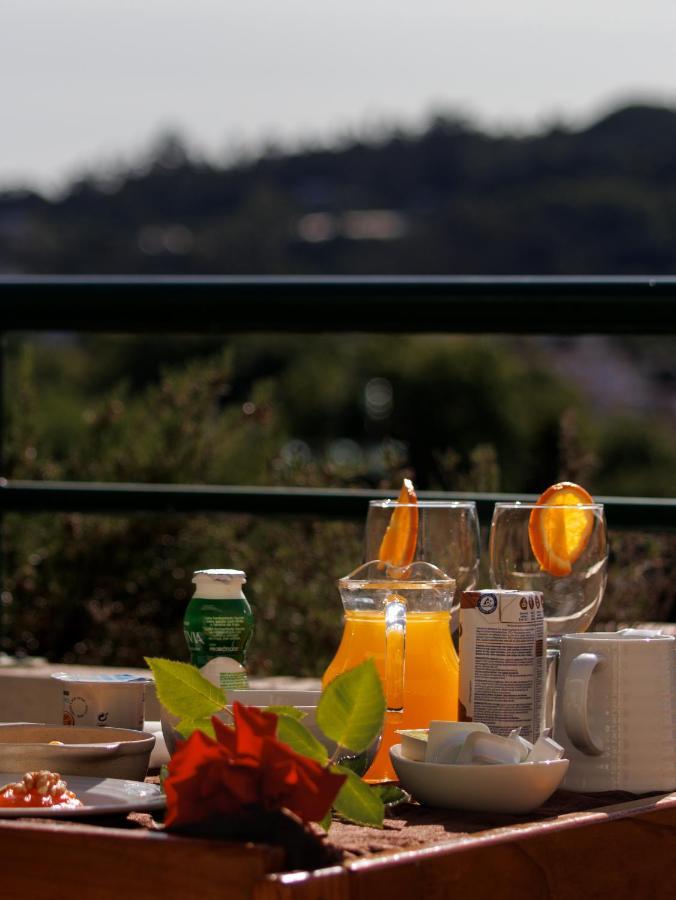 Palace Hotel E Spa Monte Rio テルマス・デ・サン・ペードロ・ド・スル エクステリア 写真