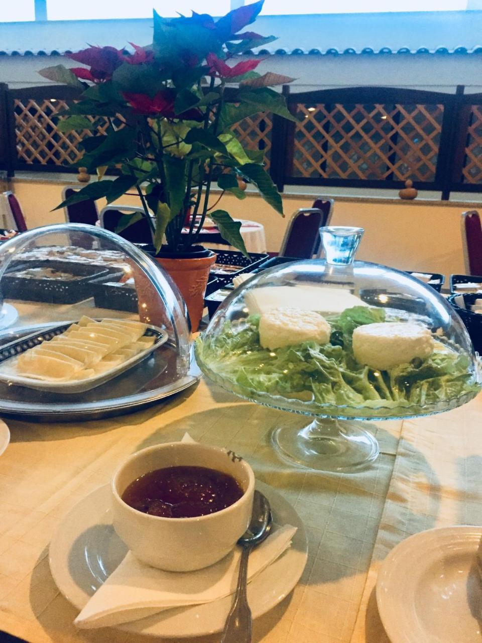 Palace Hotel E Spa Monte Rio テルマス・デ・サン・ペードロ・ド・スル エクステリア 写真